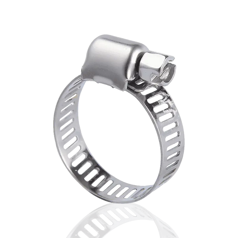 แคลมป์รัดท่ออเมริกันขนาดเล็ก